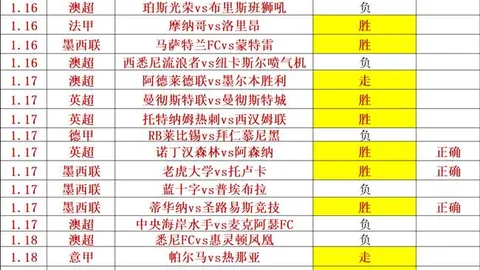中欧体育