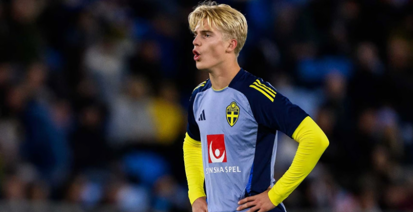 显得异常珍 显得异常珍